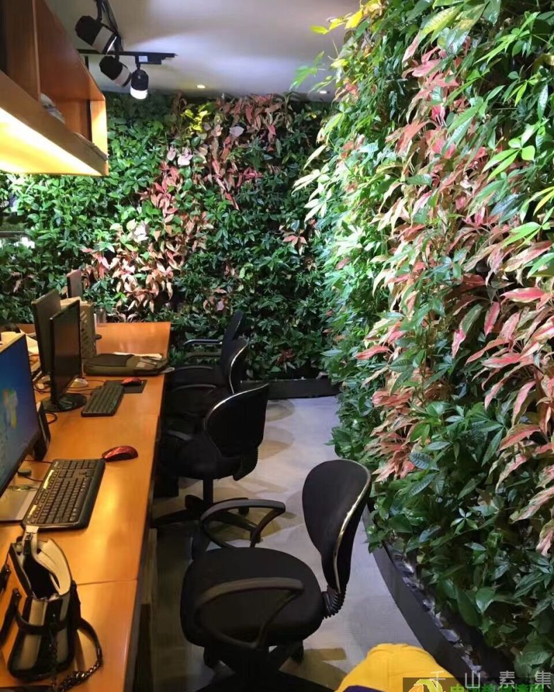 微森绿墙水循环生态植物墙_打造不一样的创新智能植物墙