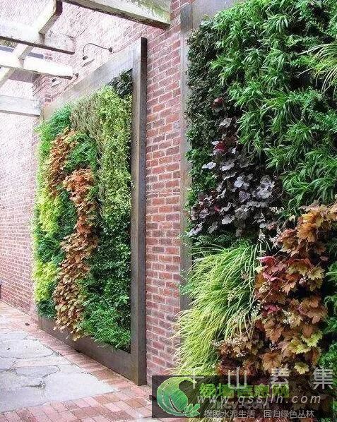 充满生机的植物墙永远是不过时的装饰_活体植物