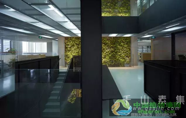 植物墙的溶解和嵌入_天津桃源居办公室改造设计