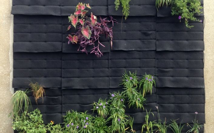 做活体植物墙工程容易犯的几个错误 植物墙设计