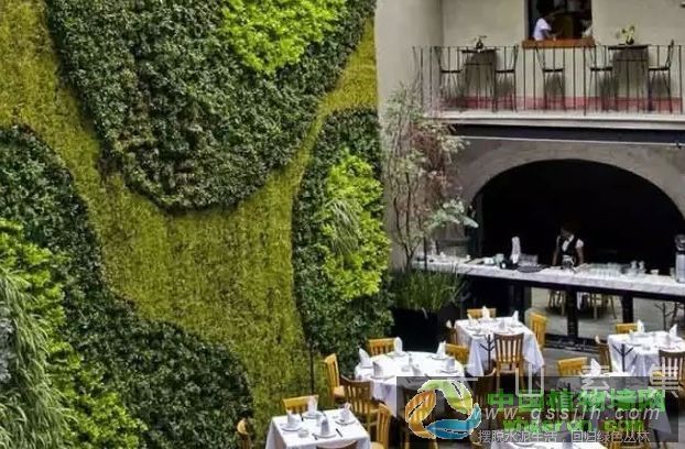 可再生能源绿色生态植物墙 让你的房子更有吸引
