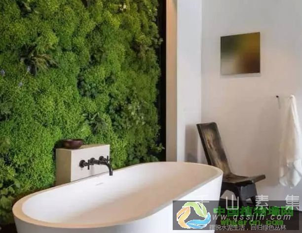 可再生能源绿色生态植物墙_让你的房子更有吸引力力
