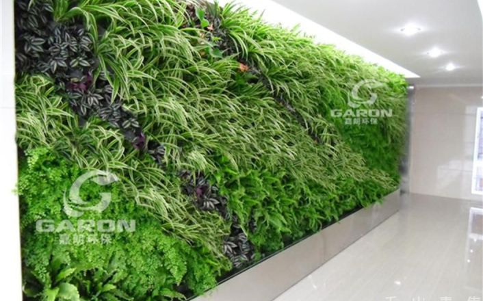 植物墙是立体的景观 适用性广的生机勃勃的绿植