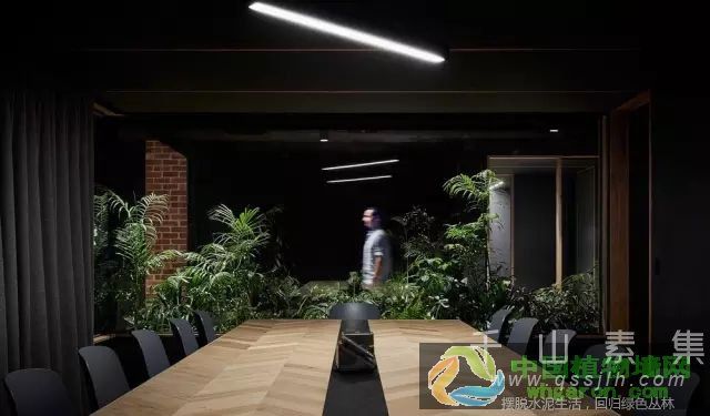 绿植在室内空间应用_室内植物墙空间环境设计的过程