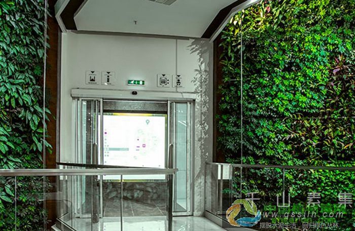 设计施工室内密闭空间植物墙注意事项_活体植物