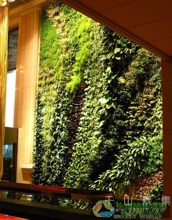 法式植物墙作为植物墙领域的参考教材_活体植物