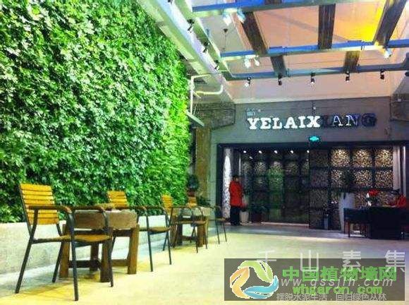 生态餐厅活体植物墙给您完全不一样的体验