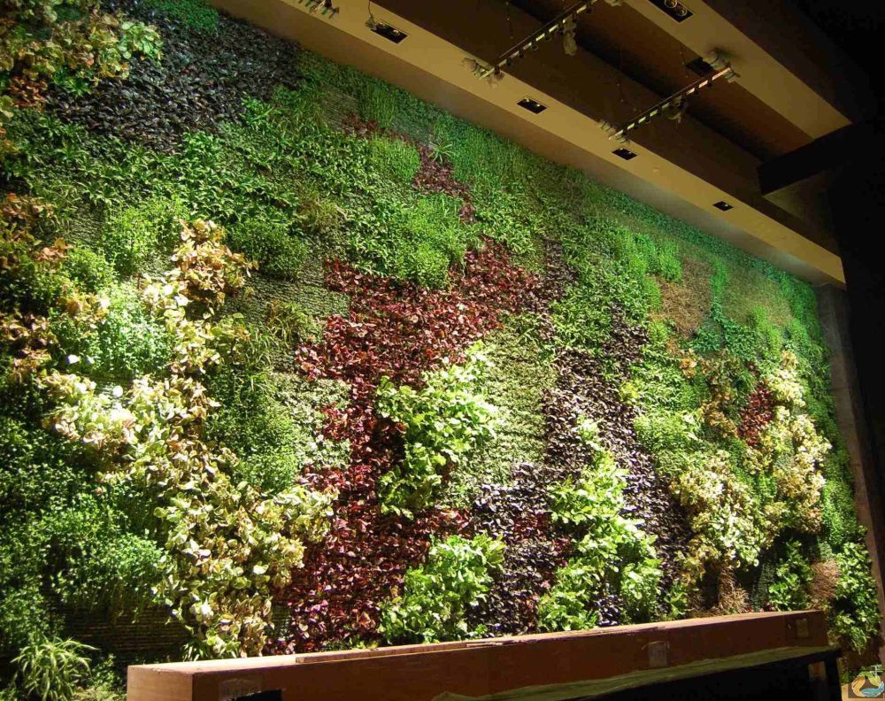 活体生态植物墙之生命的墙_垂直花园的模块化形式