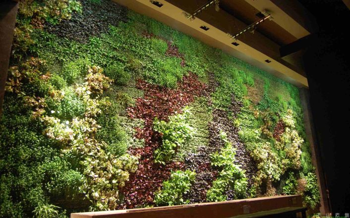 活体生态植物墙之生命的墙 垂直花园的模块化形