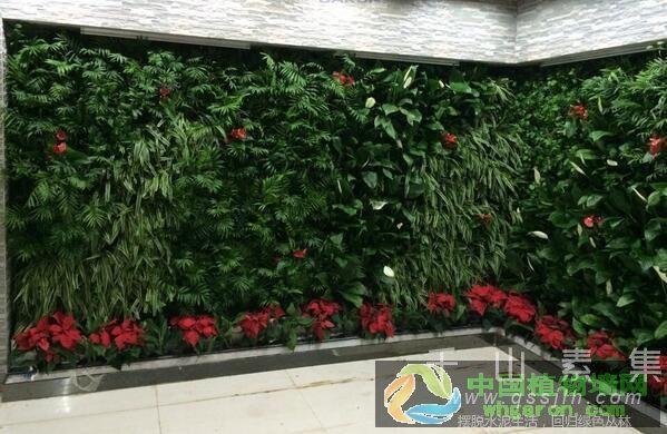微森绿墙武汉知名植物墙公司 作品频现各大商场