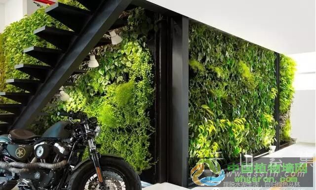 鼓舞人心的植物墙傲然屹立在光空间设计的陈列室