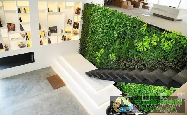 鼓舞人心的植物墙傲然屹立在光空间设计的陈列室