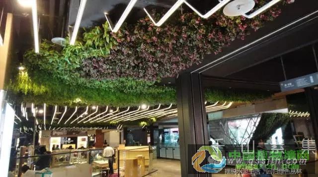 墙体绿化改善城市生态环境_打造室内天然氧吧