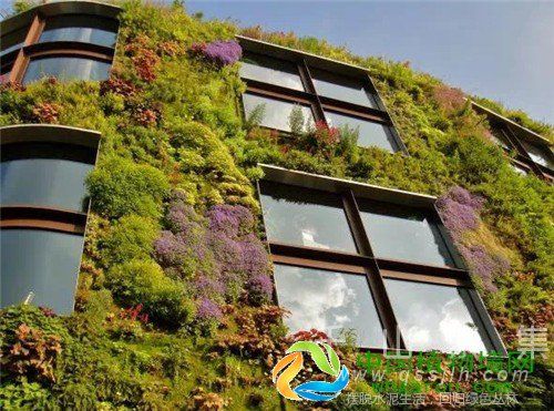 各类型的植物墙，让你的绿植美上天！