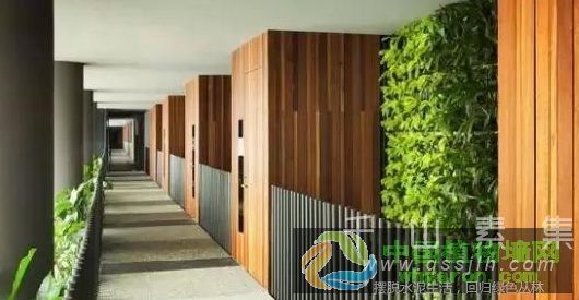垂直绿化植物墙都有哪些好处？