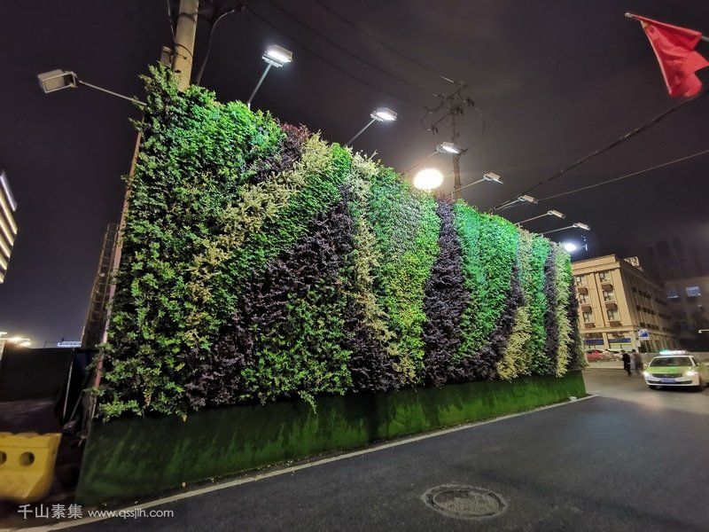 漢口火車站財神廣場植物牆