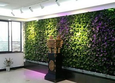 華源電力--武漢分公司背景植物牆