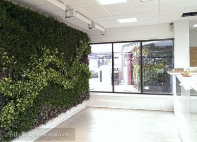 大學室內植物牆，流線型的垂直花園景觀