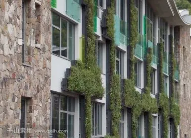 学校教学楼外墙垂直绿化植物墙，农场式教学环境