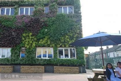 学校植物墙，生态装置改善学习环境