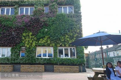學校植物牆，生態裝置改善學習環境