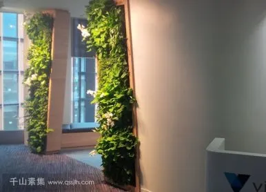 辦公室入口植物牆，傾斜造型的垂直花園