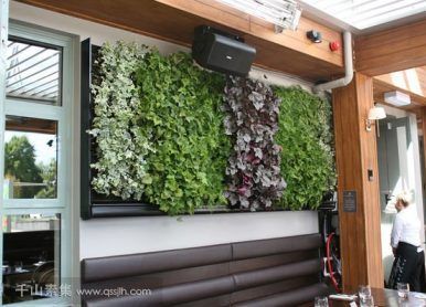 餐吧植物墙，打造亲密生态的餐饮空间