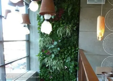 餐廳垂直綠化植物牆，讓人驚歎的大廳牆壁設計