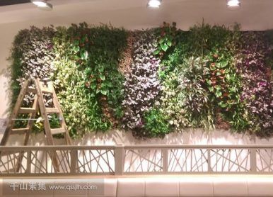 餐厅用餐区垂直绿化植物墙，营造有归属感的用餐氛围