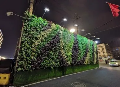 影響植物牆植物生長的四種行爲