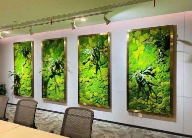 会议室植物墙，办公室苔藓植物相框景观